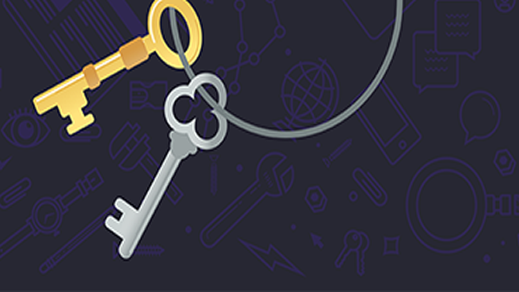 one gold and one silver keys on a ring