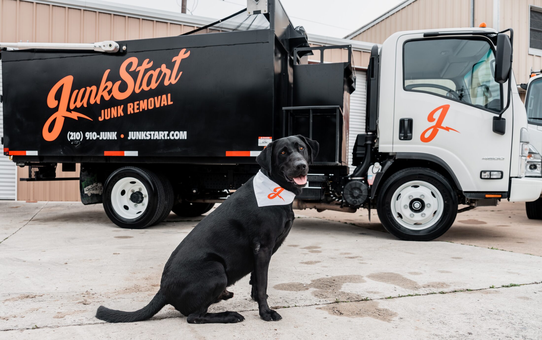 junkstart's mascot, a black lab named boone, sitting beside black, white and orange branded junk removal truck
